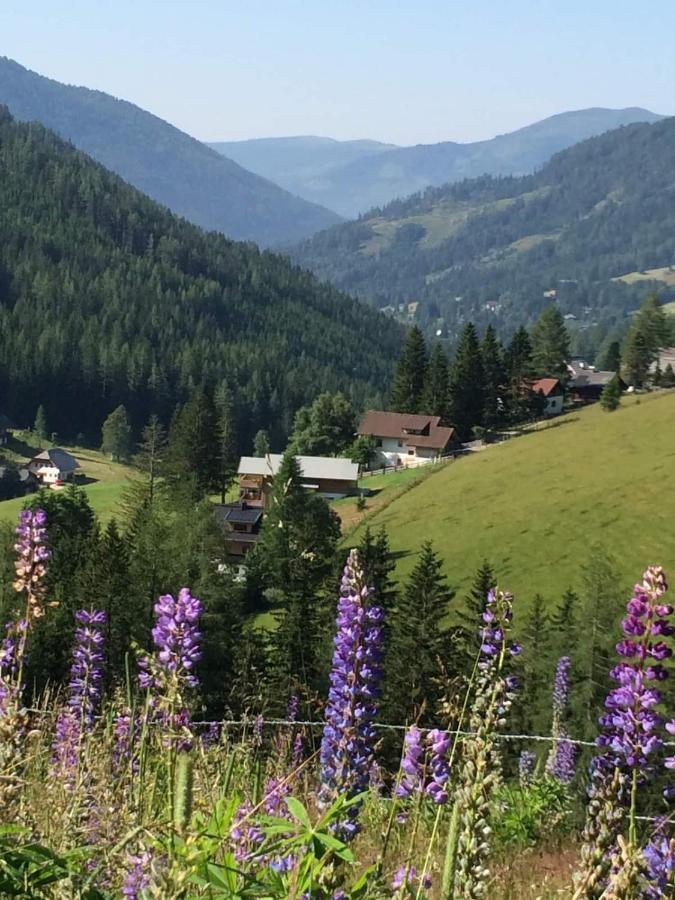 Haus Klinsterwald Sankt Oswald (Carinthia) Kültér fotó