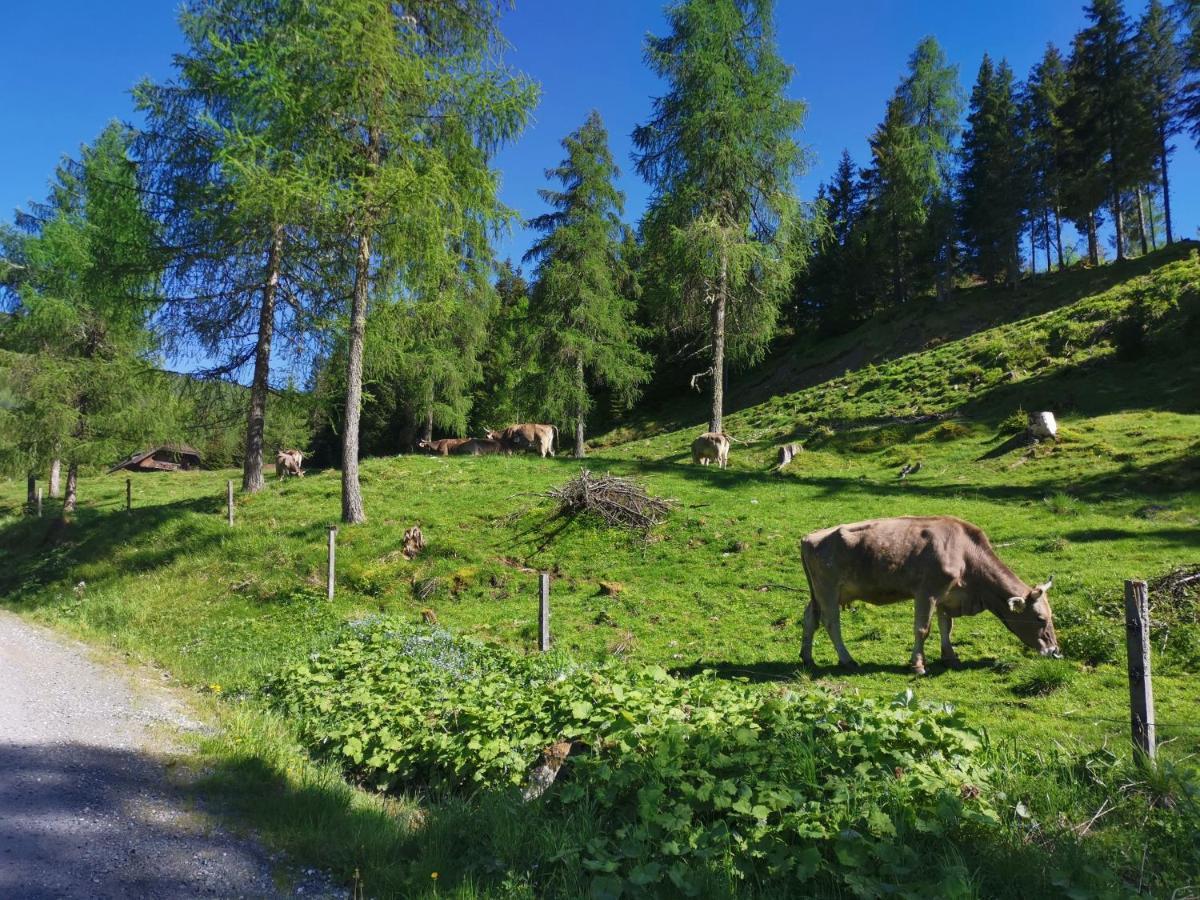 Haus Klinsterwald Sankt Oswald (Carinthia) Kültér fotó